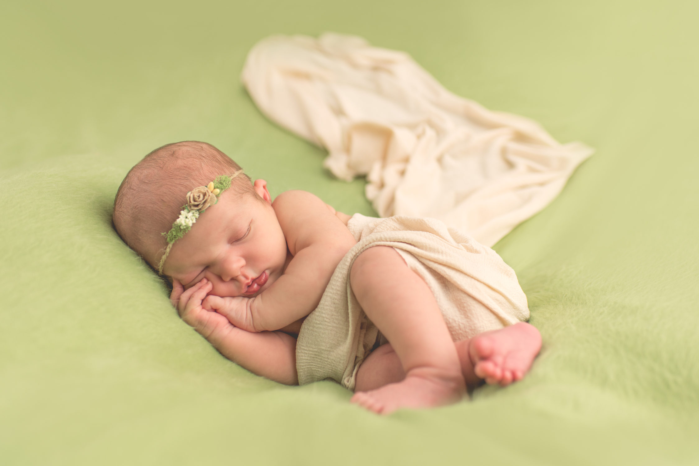 michigan newborn photographer macomb county