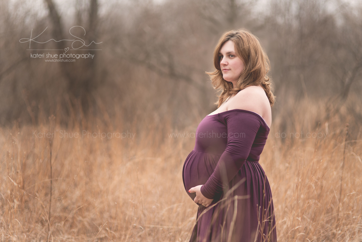 michigan mount clemens maternity detroit pregnancy photography