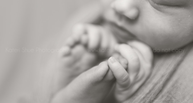 Elliana | Newborn Session | Macomb County Baby Photographer