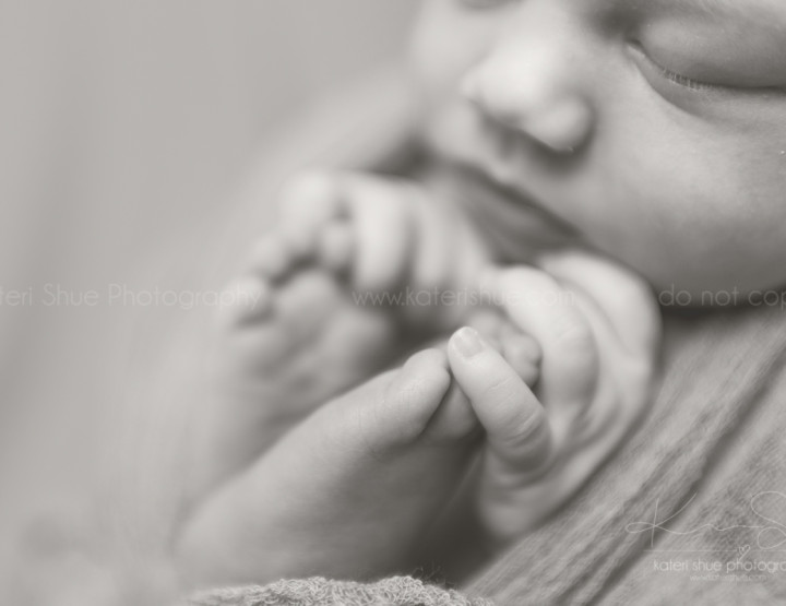 Elliana | Newborn Session | Macomb County Baby Photographer