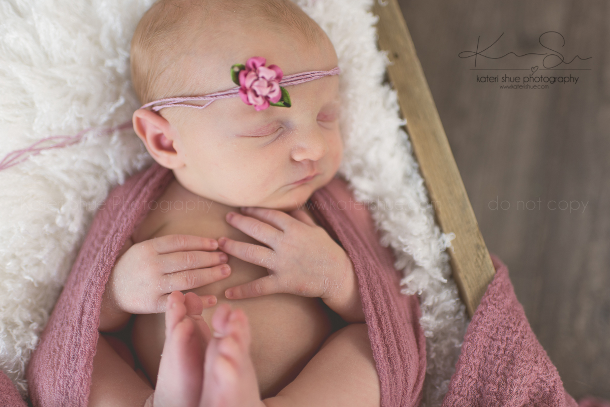 newborn michigan mount clemens maternity photographer detroit photography