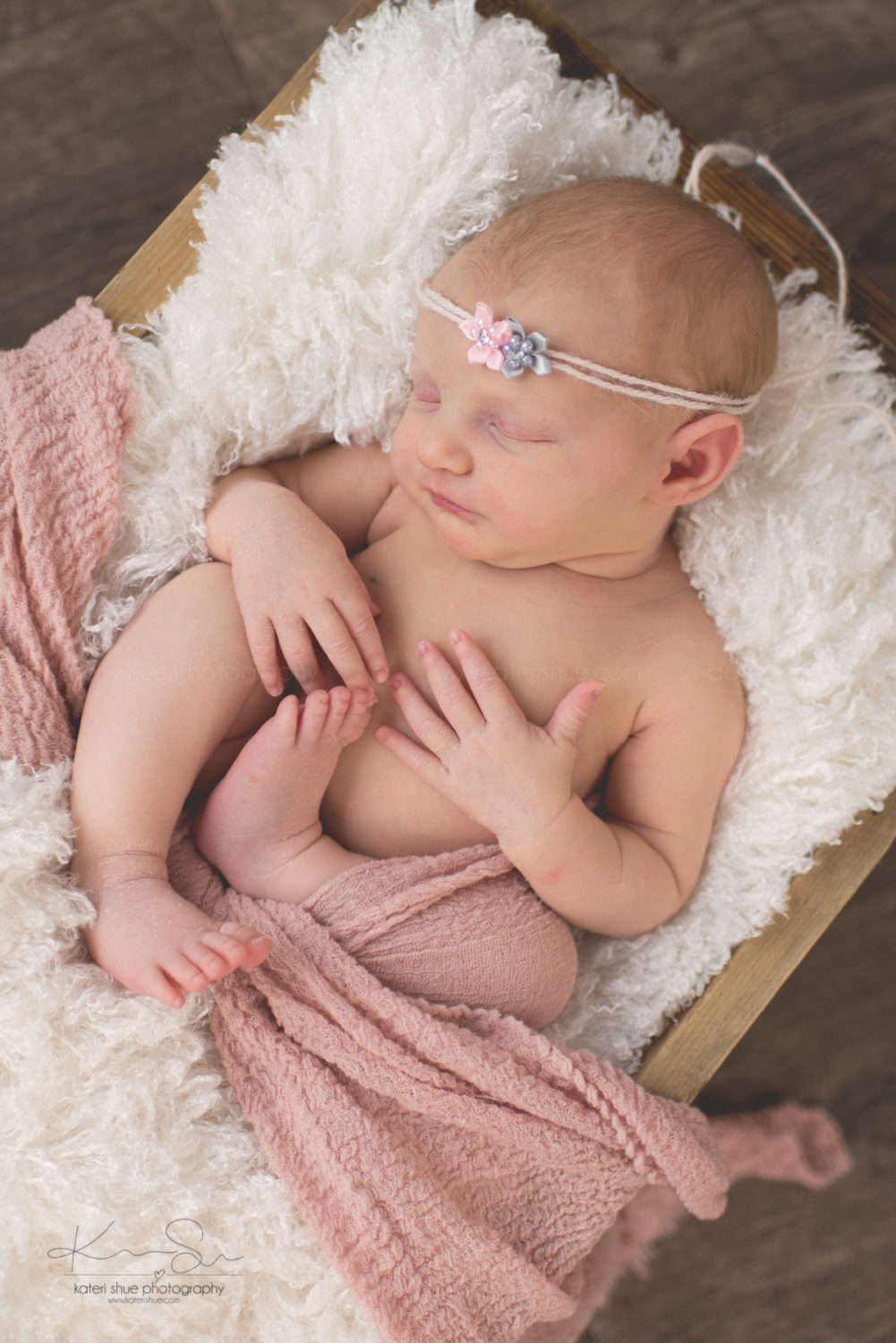 newborn michigan mount clemens maternity photographer detroit photography