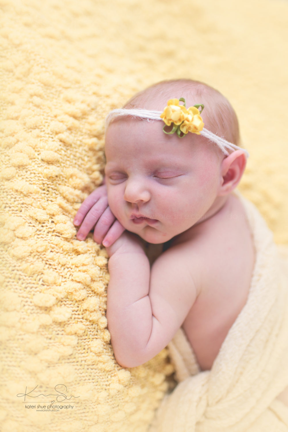 newborn michigan mount clemens maternity photographer detroit photography