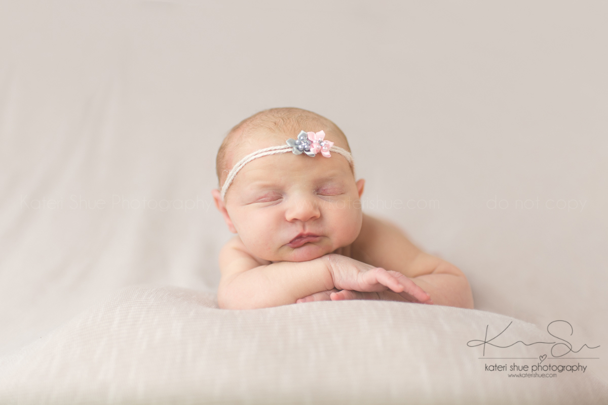 newborn michigan mount clemens maternity photographer detroit photography