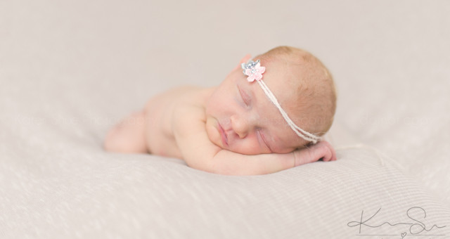 Raegan | Newborn Session | Macomb County Newborn Photographer
