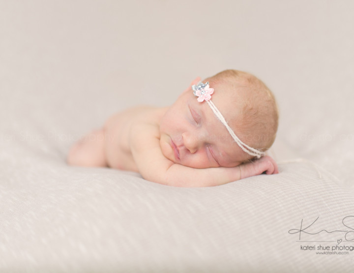 Raegan | Newborn Session | Macomb County Newborn Photographer