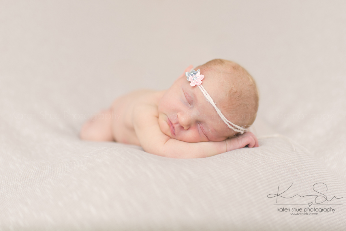 newborn michigan mount clemens maternity photographer detroit photography