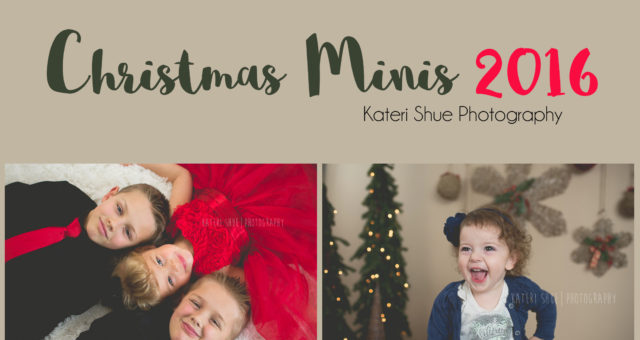 Christmas Mini Sessions 2016