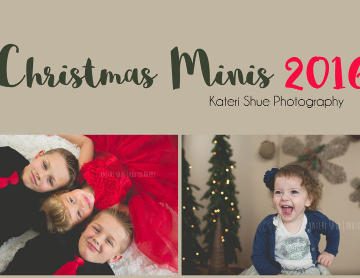 Christmas Mini Sessions 2016