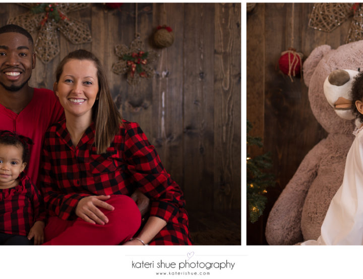 Special Edition Christmas Mini Sessions 2017 - Macomb County Photographer